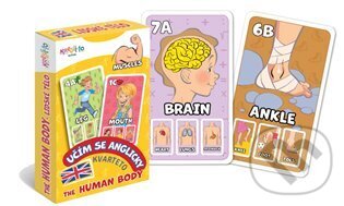 The Human Body (Kvarteto Učím se anglicky) - hra z kategorie Vzdělávací hry