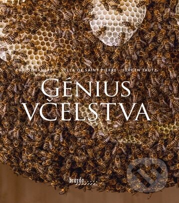Génius včelstva (slovenský jazyk) - Sylla de Saint Pierre, Jürgen Tautz, Éric Tourneret, Brázda, 2024