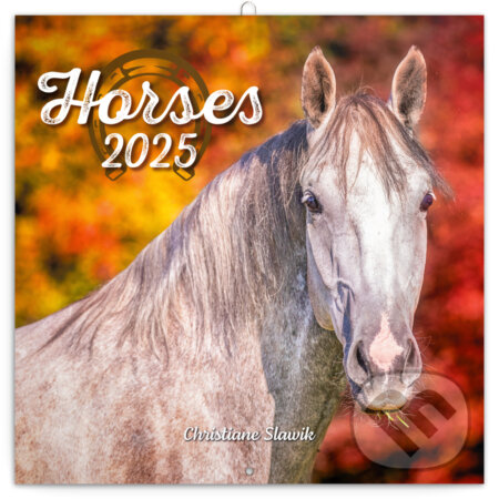 Nástenný poznámkový kalendár Horses (Kone) 2025 - Christiane Slawik, Notique, 2024