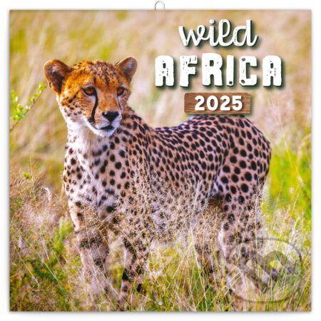 Nástenný poznámkový kalendár Wild Africa (Divoká Afrika) 2025, Notique, 2024
