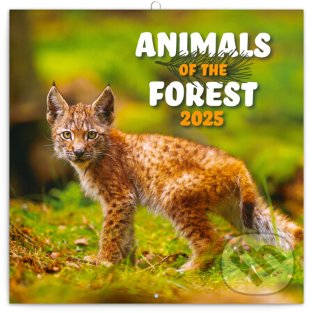 Nástenný poznámkový kalendár Animals of the forest (Zvieratká z lesa) 2025, Notique, 2024