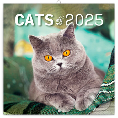 Nástenný poznámkový kalendár Mačky 2025, Notique, 2024