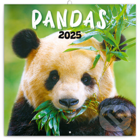 Nástenný poznámkový kalendár Pandas (Pandy) 2025 - Notique