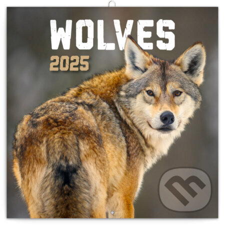 Nástenný poznámkový kalendár Wolves (Vlky) 2025, Notique, 2024
