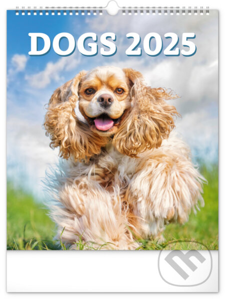 Nástenný kalendár Dogs (Psy) 2025, Notique, 2024