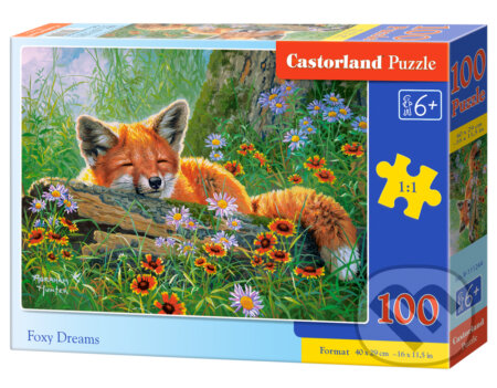 Foxy Dreams, Castorland, 2024