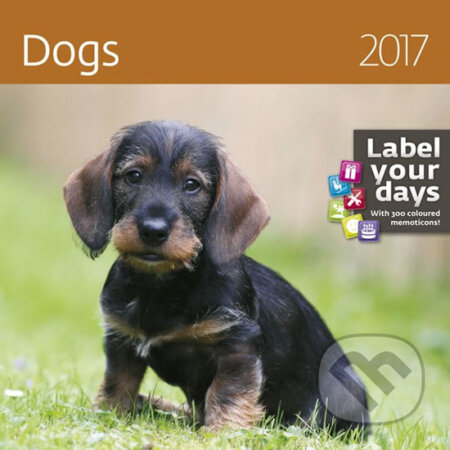 Kalendář nástěnný 2017 - Dogs, Helma, 2016