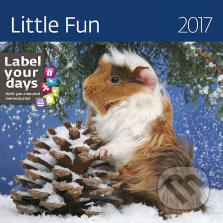 Kalendář nástěnný 2017 - Little Fun, Helma, 2016