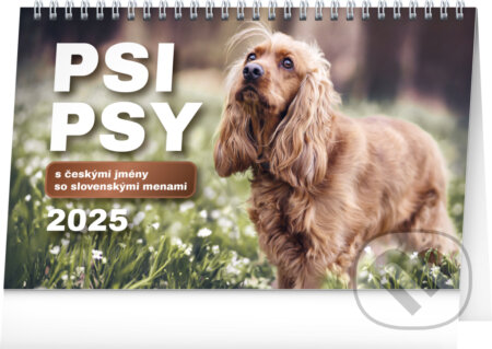 Stolní kalendář Psi – Psy 2025, Notique, 2024