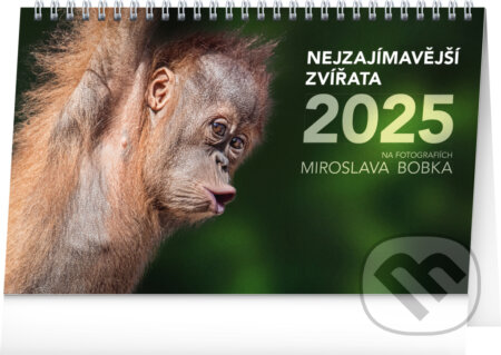 Stolní kalendář Nejzajímavější zvířata 2025 - Miroslav Bobek (ilustrátor), Notique, 2024