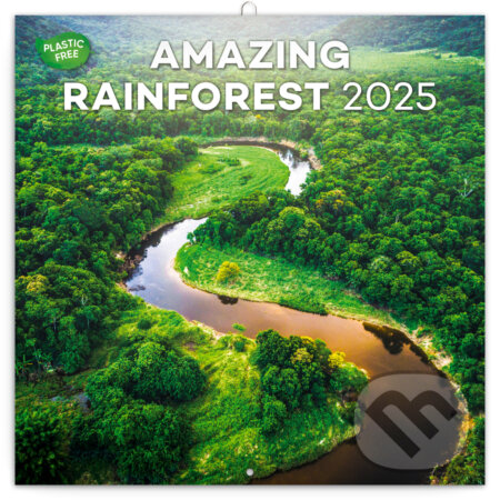 NOTIQUE Nástenný poznámkový kalendár Amazing rainforest (Dažďové pralesy) 2025, Notique, 2024