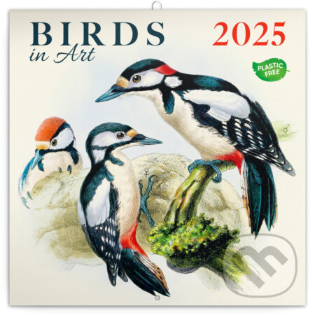 NOTIQUE Nástenný poznámkový kalendár Birds in art (Vtáčiky) 2025, Notique, 2024