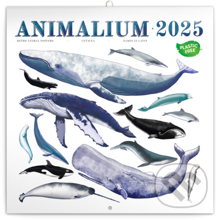 NOTIQUE Nástenný poznámkový kalendár Animalium 2025, Notique, 2024