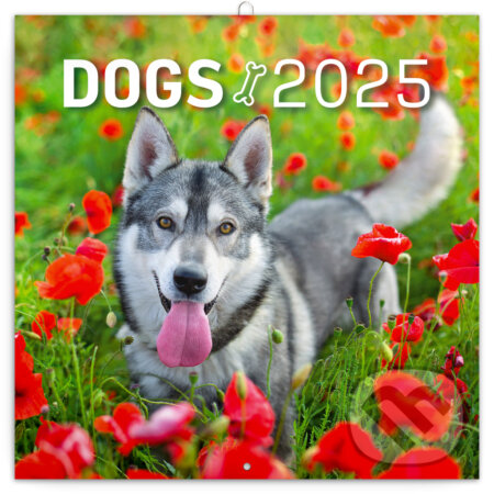 NOTIQUE Poznámkový kalendár Dogs (Psy) 2025, Notique, 2024