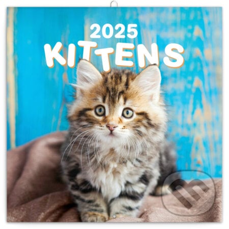NOTIQUE Nástenný poznámkový kalendár Kittens (Mačiatka) 2025, Notique, 2024