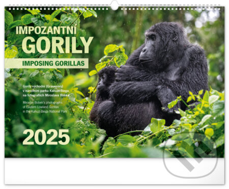 NOTIQUE Nástěnný kalendář Impozantní gorily 2025 (Imposing gorillas (univerzální kalendárium))