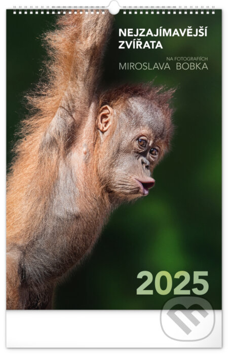 NOTIQUE Nástěnný kalendář Nejzajímavější zvířata 2025 - Miroslav Bobek (ilustrátor), Notique, 2024