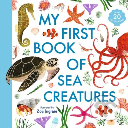 My First Book Of Sea Creatures - Zoë Ingram, Walker books, 2021