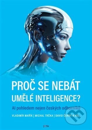 Proč se nebát umělé inteligence? - David Černý, Jota, 2024