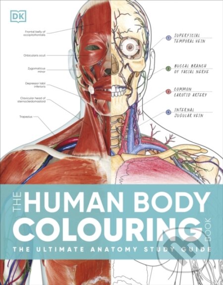 The Human Body Colouring Book - DK, Dorling Kindersley, 2024