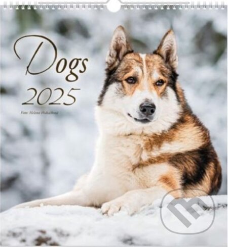 Dogs 2025 - nástěnný kalendář, MFP, 2024