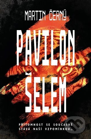 Pavilon šelem - Martin Černý - kniha z kategorie Thrillery