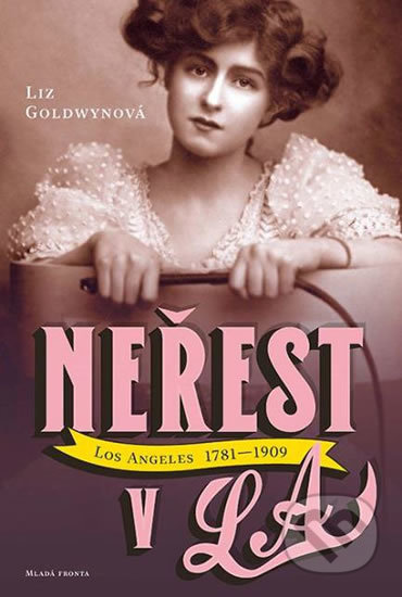 Neřest v L.A. - Liz Goldwyn - kniha z kategorie Beletrie