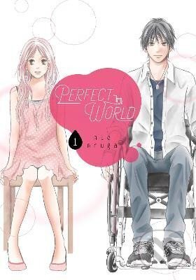 Kniha: Perfect World 1 (Rie Aruga). , 2020