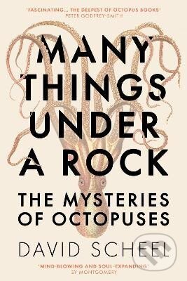 Many Things Under a Rock: The Mysteries of Octopuses - David Scheel, Hodder and Stoughton, 2023