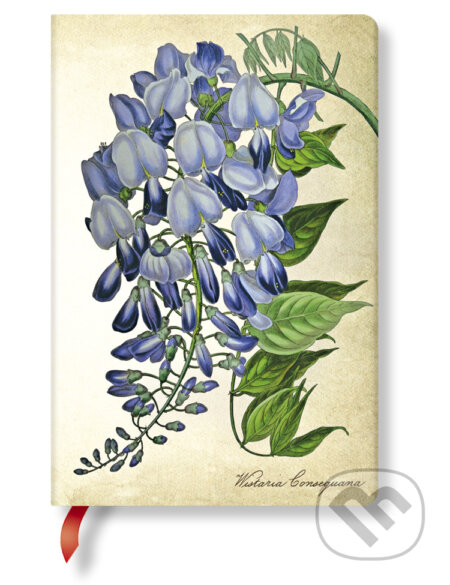 Paperblanks - zápisník Blooming Wisteria (mini, čistý)