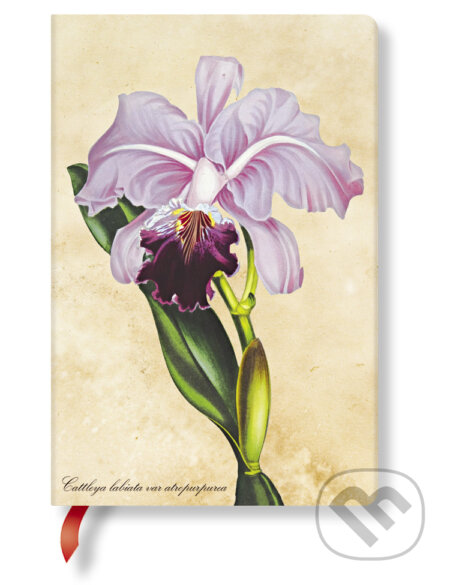 Paperblanks - zápisník Brazilian Orchid, Paperblanks, 2017