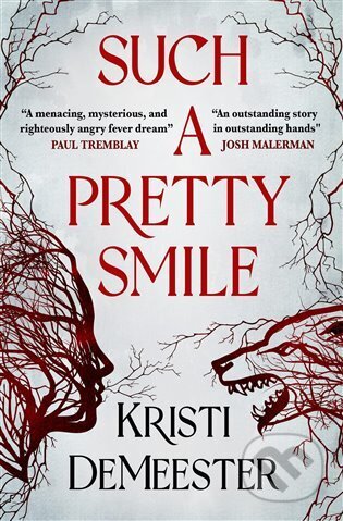 Such a Pretty Smile - Kristi DeMeester - kniha z kategorie Thrillery