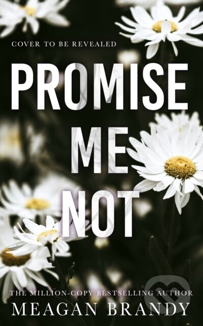 Promise Me Not - Meagan Brandy, Orion, 2024