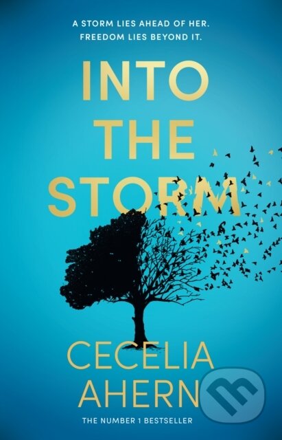 Into the Storm - Cecelia Ahern, HarperCollins, 2024