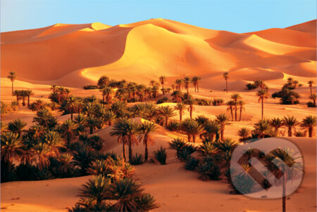 Sahara, Trefl