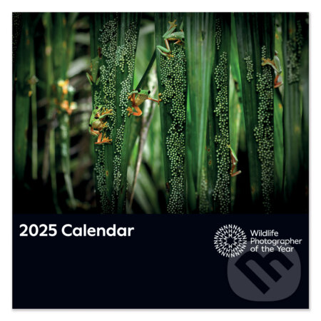Kalendár 2025 Wildlife (Portico Designs). Portico Designs, 2024