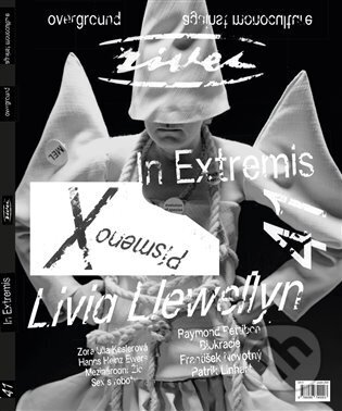 Živel č. 41 (In Extremis) - kniha z kategorie Teorie umění