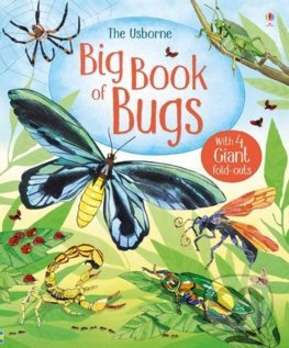 Big Book Of Bugs - Emily Bone, Usborne, 2017