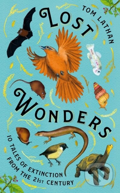 Lost Wonders - Tom Lathan, Claire Kohda (ilustrátor), Pan Macmillan, 2024