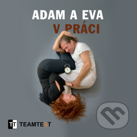 Adam a Eva v práci - Radka Maňáková,Miloš Pícha, TT Publishing, 2017