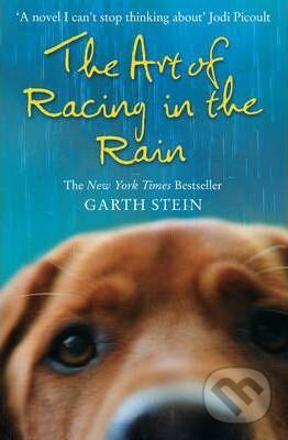 Art of Racing in Rain - Garth Stein - kniha z kategorie Beletrie pro děti
