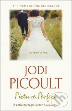 Picture Perfect - Jodi Picoult, Hodder and Stoughton, 2013