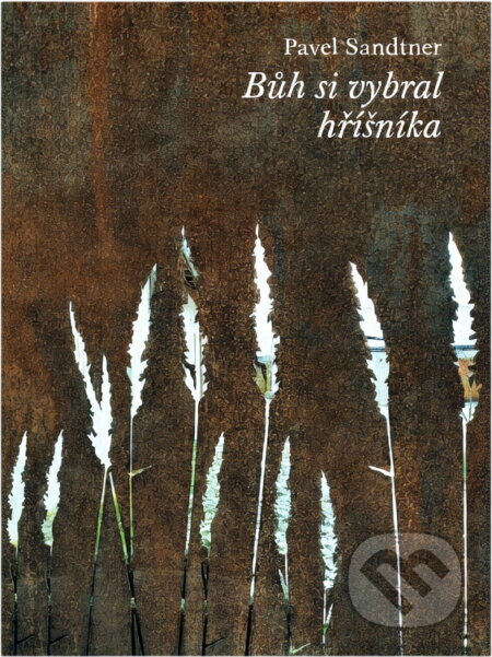 Kniha: Bůh si vybral hříšníka (Pavel Sandtner). , 2024