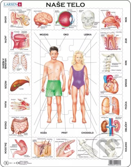 Naše telo OB1 - puzzle z kategorie Naučné puzzle