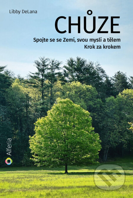 E-kniha: Chůze (Libby DeLana)