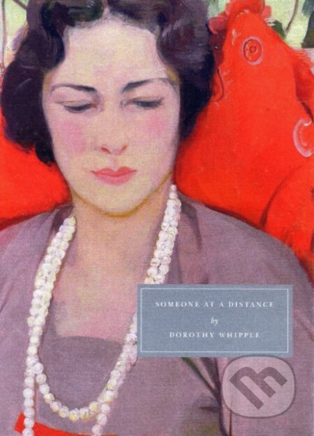 Kniha Someone at a Distance