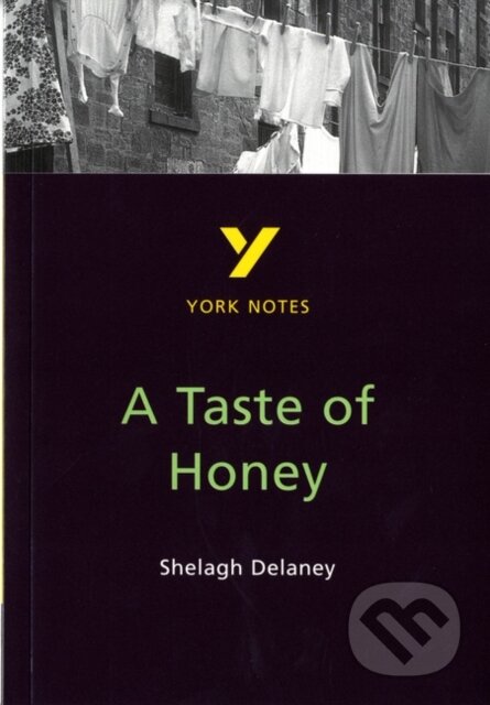Kniha A Taste of Honey everything you need to catch up, study and prepare for the 2025 and 2026 exams