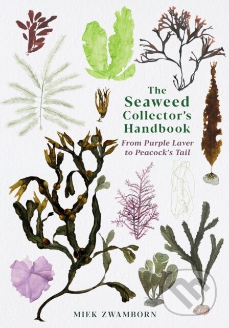 Kniha: The Seaweed Collector's Handbook (Miek Zwamborn)