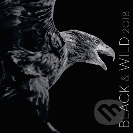 Black & Wild 2018, Spektrum grafik, 2017