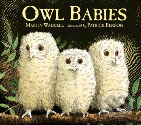 Owl Babies 25Th Anniversary Edition - Martin Waddell - kniha z kategorie Pro děti
